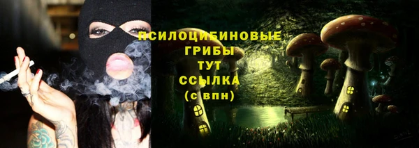 ешки Абинск