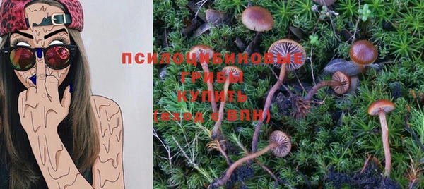кокс Абдулино