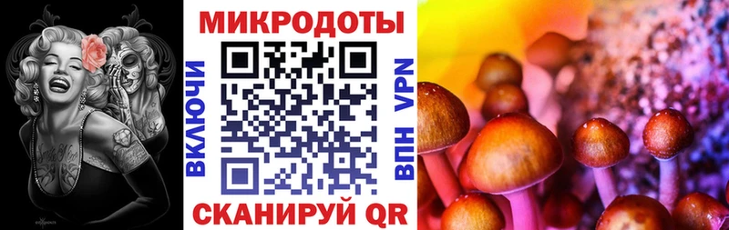 KRAKEN   Тихорецк  Галлюциногенные грибы Psilocybe 